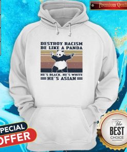 Destroy Racism Be Like A Panda He’s Black He’s White He’s Asian Vintage Retro Hoodie