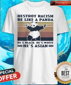 Destroy Racism Be Like A Panda He’s Black He’s White He’s Asian Vintage Retro Shirt