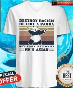 Destroy Racism Be Like A Panda He’s Black He’s White He’s Asian Vintage Retro V-neck