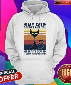 My Cat Doesn’t Like You But It’s Okay It Doesn’t Like Me Either Vintage Retro Hoodie