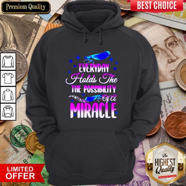 Dragonfly Everyday Holds The The Possibility Of A Miracle Hoodie