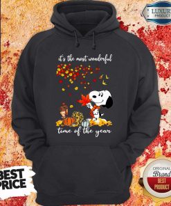 Snoopy It’s The Most Wonderful Time Of The Year Halloween Hoodie