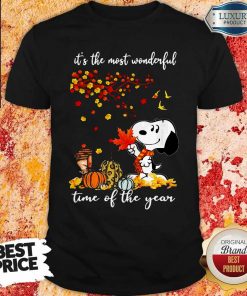 Snoopy It’s The Most Wonderful Time Of The Year Halloween Shirt