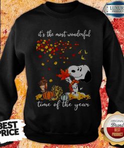 Snoopy It’s The Most Wonderful Time Of The Year Halloween Sweatshirt