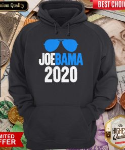 Anti Trump Biden Obama 2020 USA Election Fun Gift Hoodie