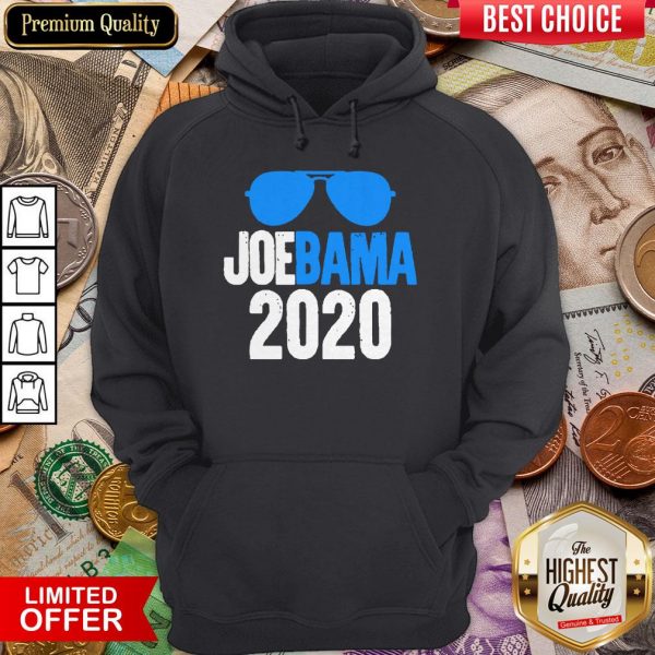 Anti Trump Biden Obama 2020 USA Election Fun Gift Hoodie