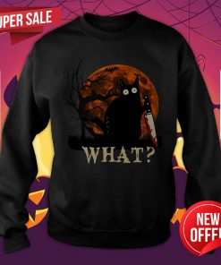 Hot Black Cat What Moon Sweatshirt