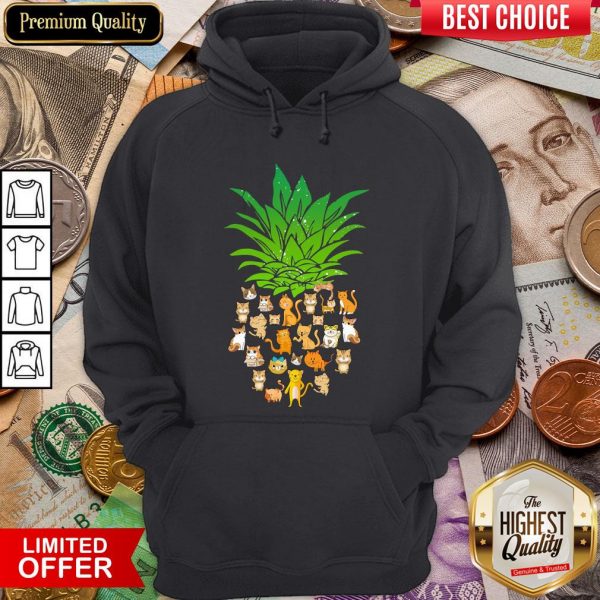 Awesome Pineapple Cats Hoodie - Design By Viewtees.com
