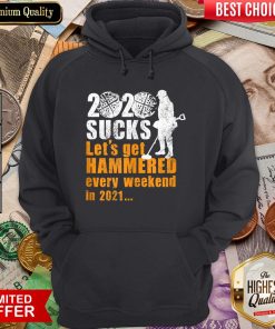 Funny 2020 Sucks Funny Metal Detectorist Hoodie - Design By Viewtees.com