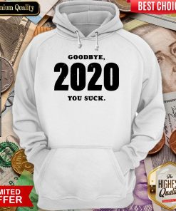 Funny Goodbye 2020 You Suck Hoodie - Design By Viewtees.com
