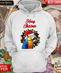 Funny Parrot Merr- Design By Viewtees.com 2Christmas Hoodie