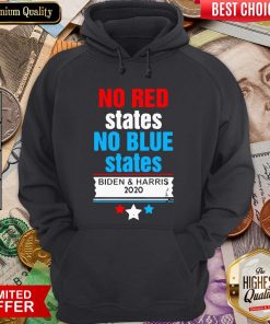 Hot Official No Red States No Blue States Biden And Harris 2020 Hoodie - Design By Viewtees.com