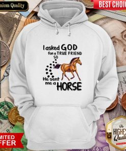 I Asked God For A True Friend So He Sent Me A Horse Hoodie