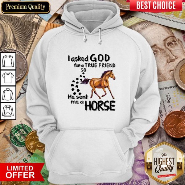 I Asked God For A True Friend So He Sent Me A Horse Hoodie