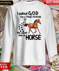 I Asked God For A True Friend So He Sent Me A Horse Sweatshirt