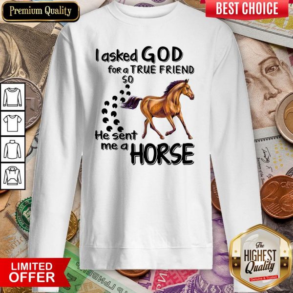 I Asked God For A True Friend So He Sent Me A Horse Sweatshirt