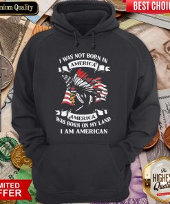 I Was Not Born In America Was Born On My Land I Am American Hoodie