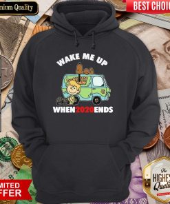Snoopy Wake Me Up When2020ends Hoodie