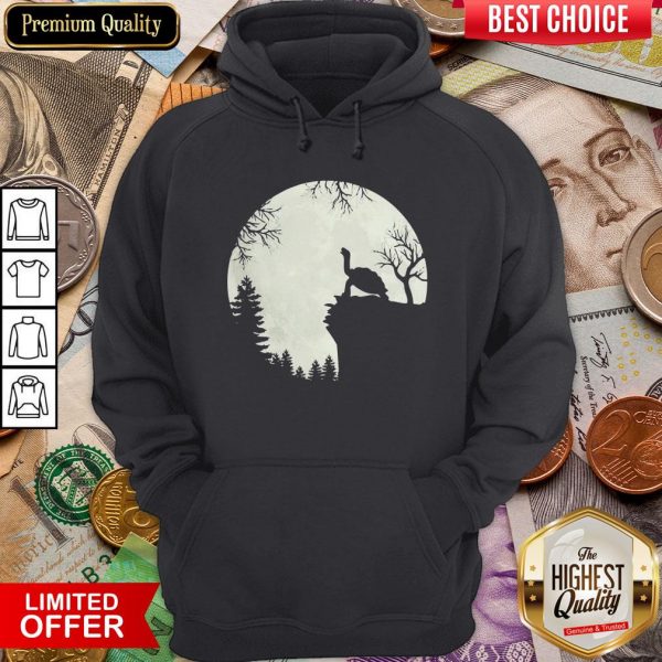 Funny Howling Turtle The Moon Hoodie - Design By Viewtees.com