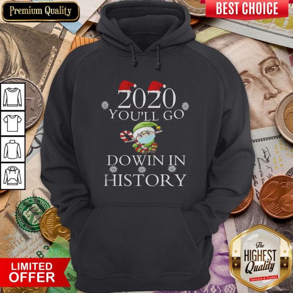 Good 2020 You’ll Go Down In History Elf Wear Mask Christmas Hoodie - Design By Viewtees.com
