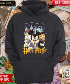 Hot Mickey Mouse And Duck Donald Harry Potter Hoodie - Design By Viewtees.com