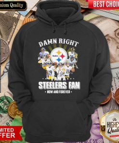 So Damn Right I Am A Pittsburgh Steelers Fan Now And Forever Signature Hoodie - Design By Viewtees.com