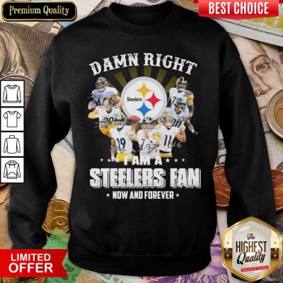 So Damn Right I Am A Pittsburgh Steelers Fan Now And Forever Signature Sweatshirt - Design By Viewtees.com