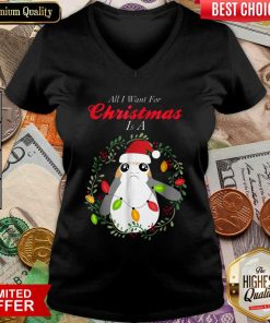 Star Wars Porg All I Want Christmas Holiday V-neck - Design By Viewtees.com
