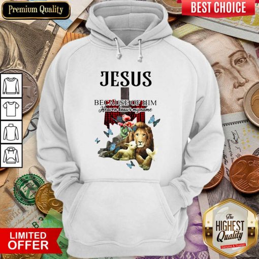 Jesus Because Of Him Heaven Knows My Name Hoodie - Design By Viewtees.com