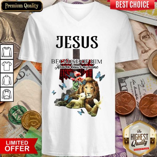 Jesus Because Of Him Heaven Knows My Name V-neck - Design By Viewtees.com