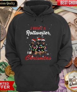 I Want A Rottweiler For Christmas Hoodie - Design By Viewtees.com