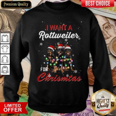 I Want A Rottweiler For Christmas Sweatshirt - Design By Viewtees.com 