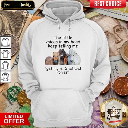 The Little Voices In My Head Keep Telling Me Get More Shetland Ponies Horses Hoodie - Design By Viewtees.com