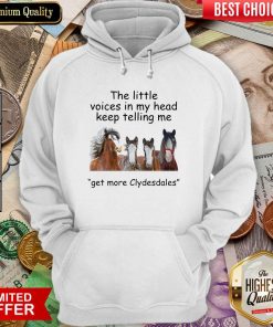 The Little Voices In My Head Keep Telling Me Get More Clydesdales Horses Hoodie - Design By Viewtees.com