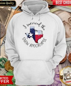 Perfect I Survived The Snow Apocalypse Texas Hoodie