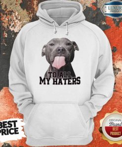 Original Pitbull To All My Haters Hoodie