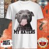 Original Pitbull To All My Haters Shirt