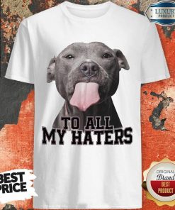 Original Pitbull To All My Haters Shirt