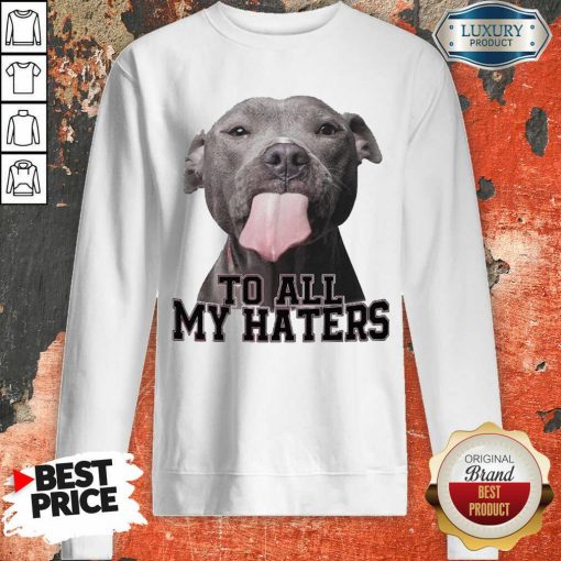 Original Pitbull To All My Haters Sweartshirt