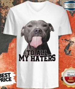 Original Pitbull To All My Haters V-neck