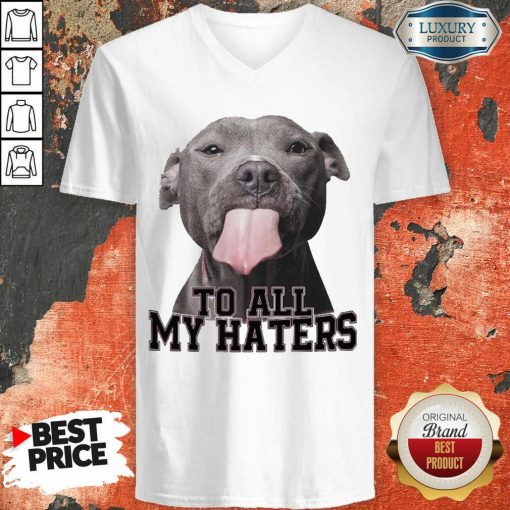 Original Pitbull To All My Haters V-neck