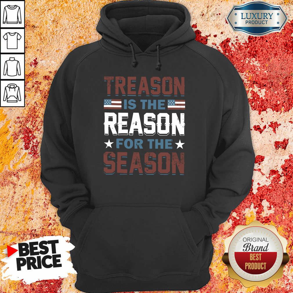 American Treason Is The Reason For The Season hoodie
