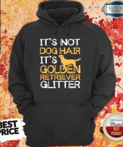 Dog Hair It's Golden Retriever hoodie