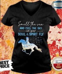 Horse Feel The Sky Soul Spirit Fly V-neck
