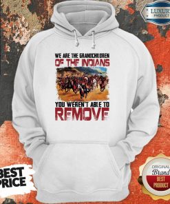 The Grandchildren Of The Indians Remove hoodie
