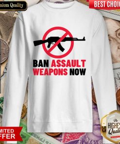 Ban Assault Weapons Now Gun Sweartshirt
